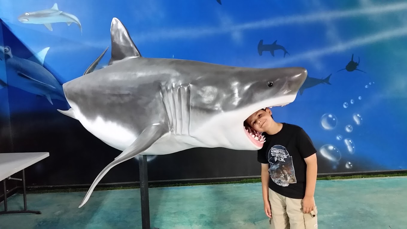 San Antonio Aquarium Travel | Park