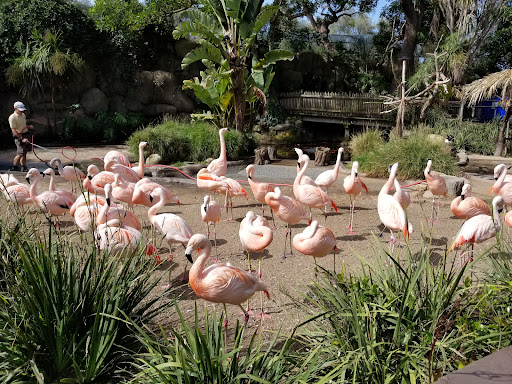 Santa Barbara Zoo Travel | Zoo and Wildlife Sanctuary 