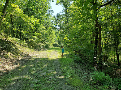 Scenic Hudsons Long View Park Travel | Park