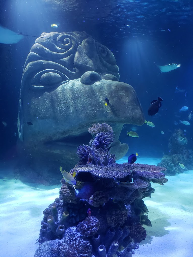Sea Life Orlando Aquarium Travel | Park