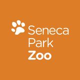 Seneca Park Zoo|Park|Travel