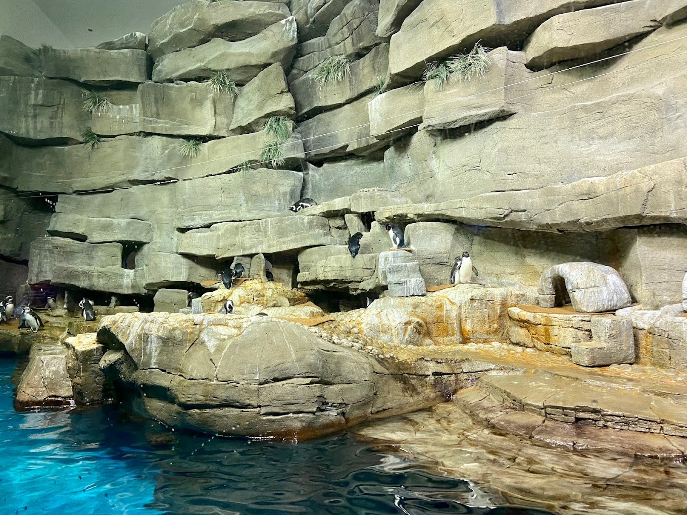 Shedd Aquarium Travel | Park
