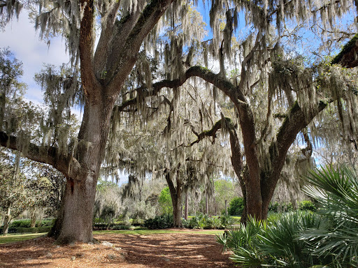 Sholom Park Travel | Park