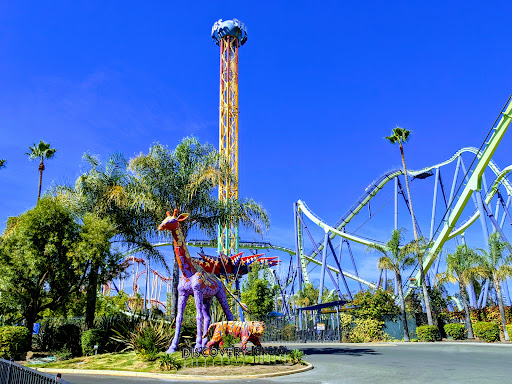 Six Flags Discovery Kingdom Entertainment | Theme Park