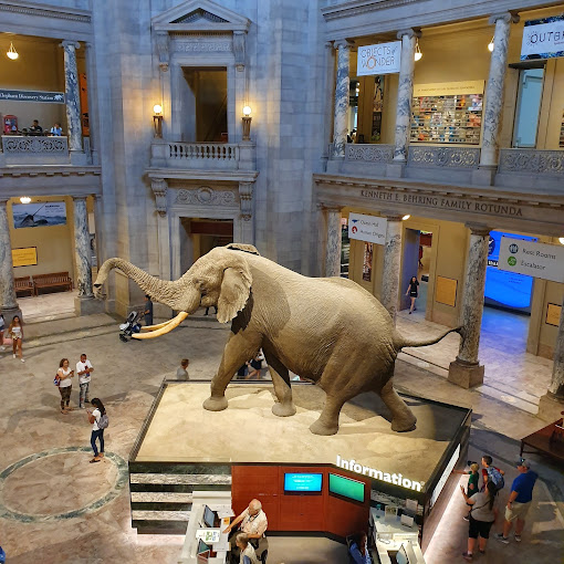 Smithsonian National Museum of Natural History Travel | Museums