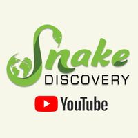 Snake Discovery: A Reptile Experience|Zoo and Wildlife Sanctuary |Travel