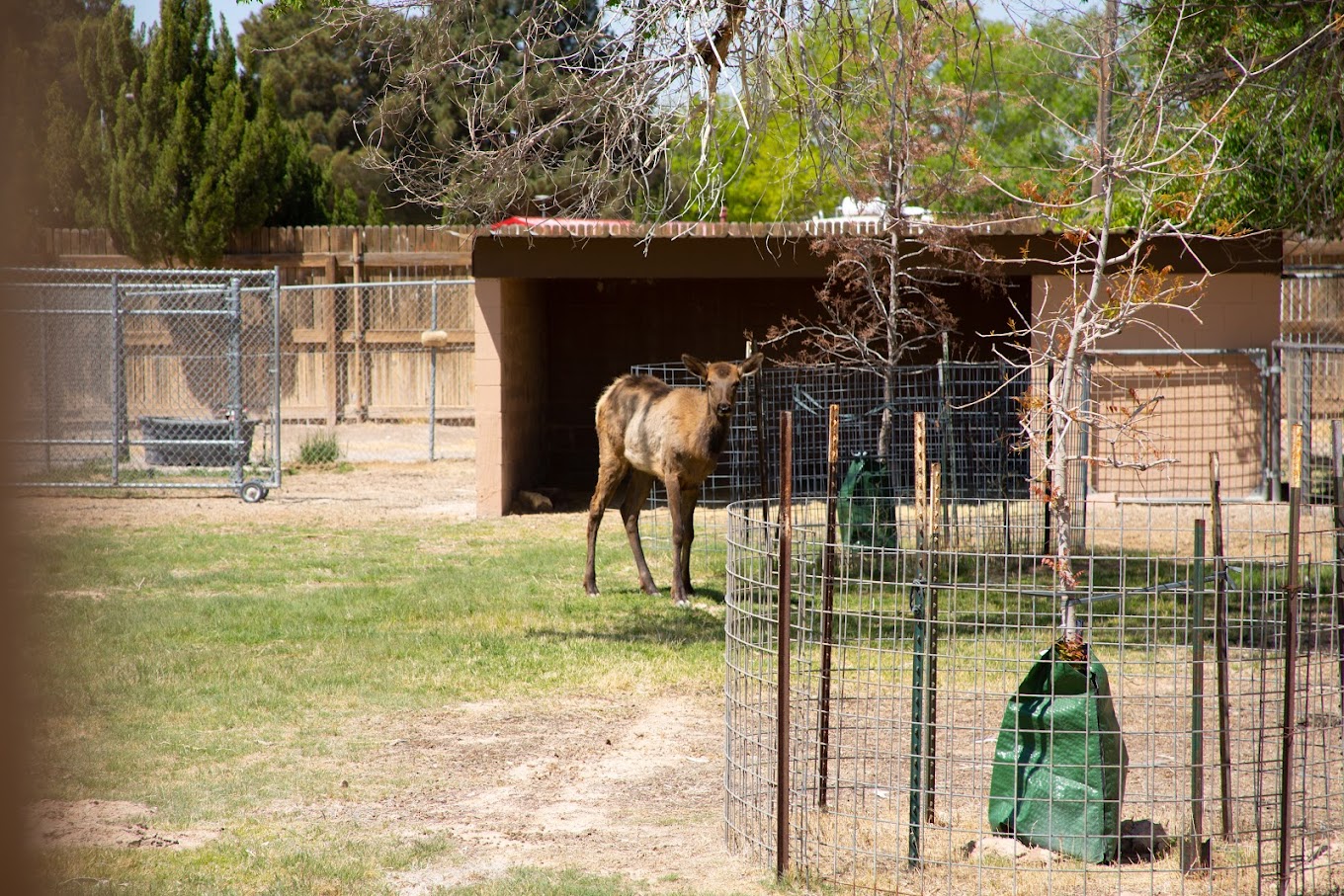 Spring River Zoo Travel | Zoo and Wildlife Sanctuary 