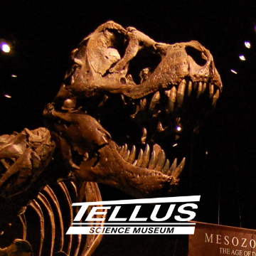 Tellus Science Museum - Logo