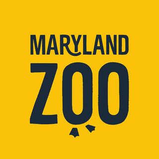 The Maryland Zoo in Baltimore - Logo