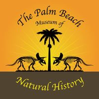 The Palm Beach Museum of Natural History - Logo