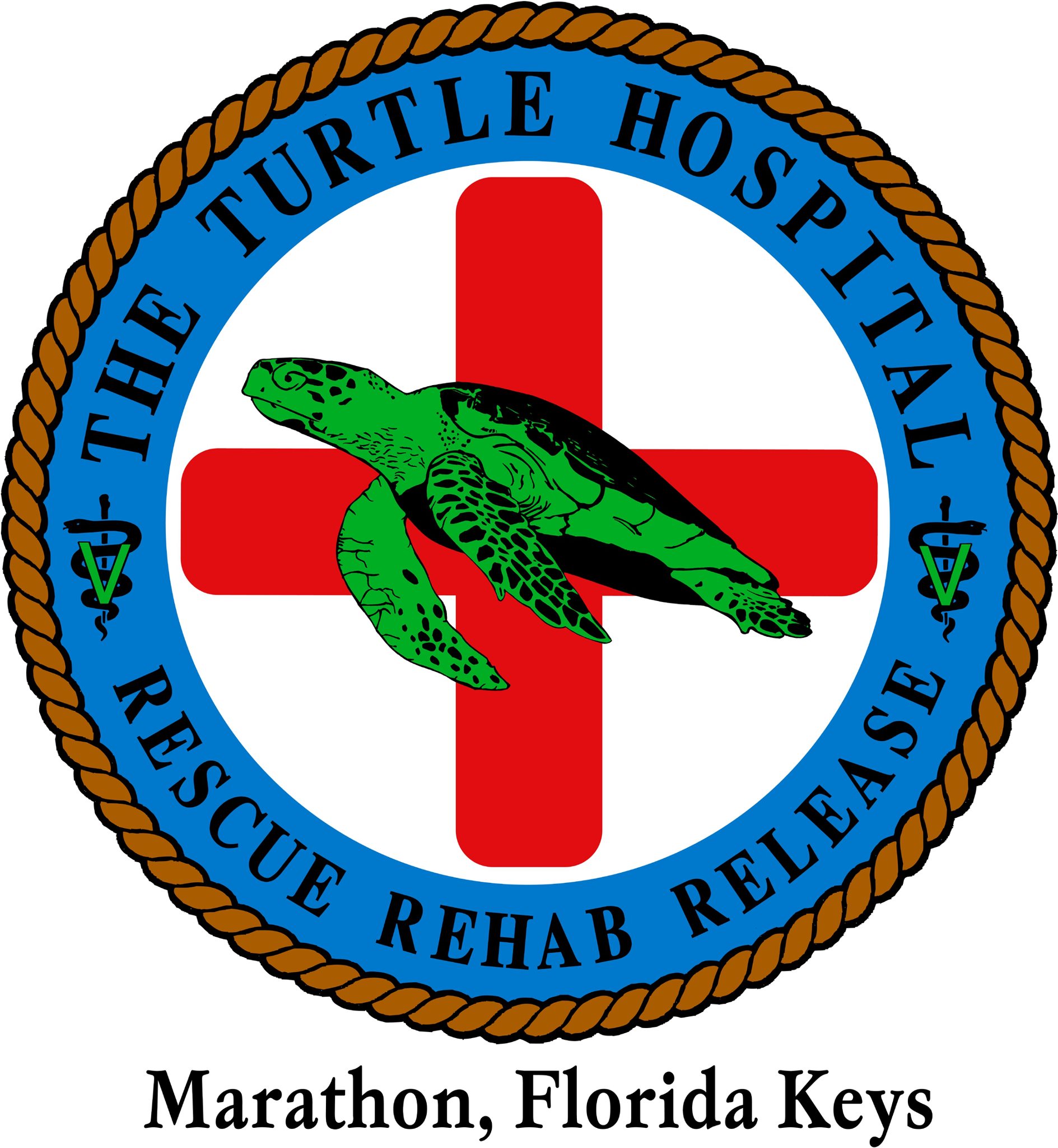 The Turtle Hospital - Logo