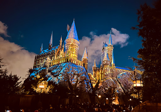 The Wizarding World of Harry Potter Entertainment | Theme Park