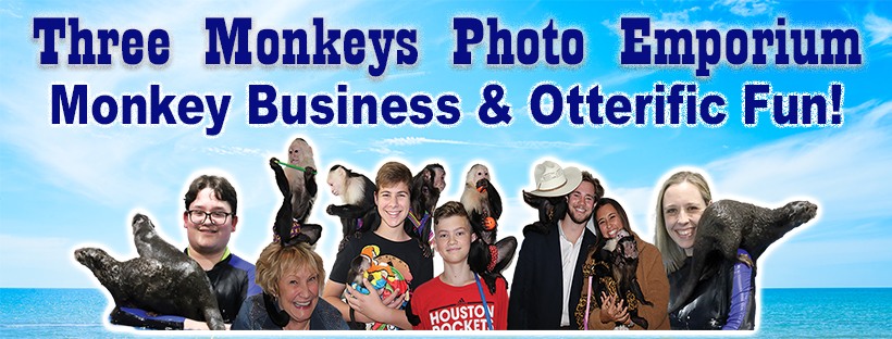 Three Monkeys Photo Emporium - Logo