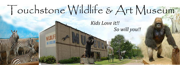 Touchstone Wildlife and Art Museum - Logo