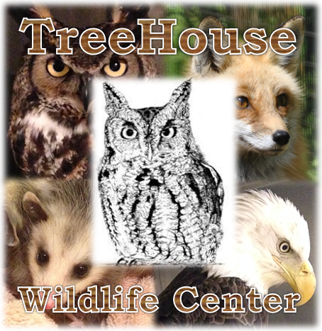 Treehouse Wildlife Center Inc Logo