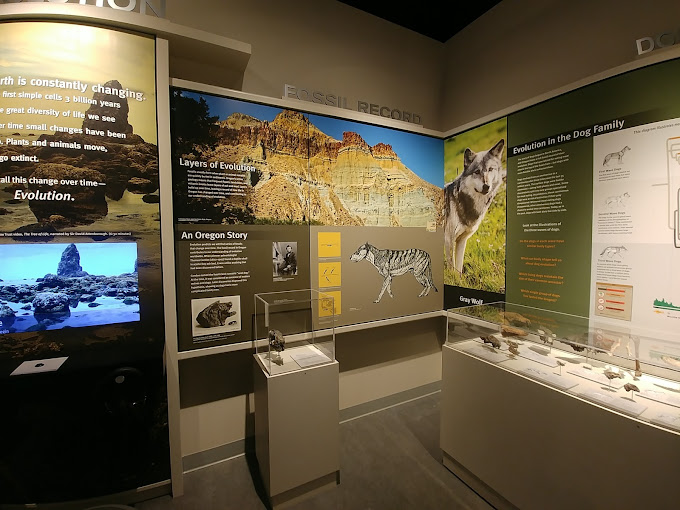 University of Oregon Museum of Natural and Cultural History Travel | Museums