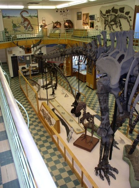 University of Wyoming Geological Museum Travel | Museums