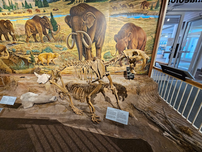 Utah State University Eastern Prehistoric Museum Travel | Museums