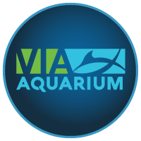 VIA Aquarium Logo