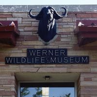 Werner Wildlife Museum|Museums|Travel