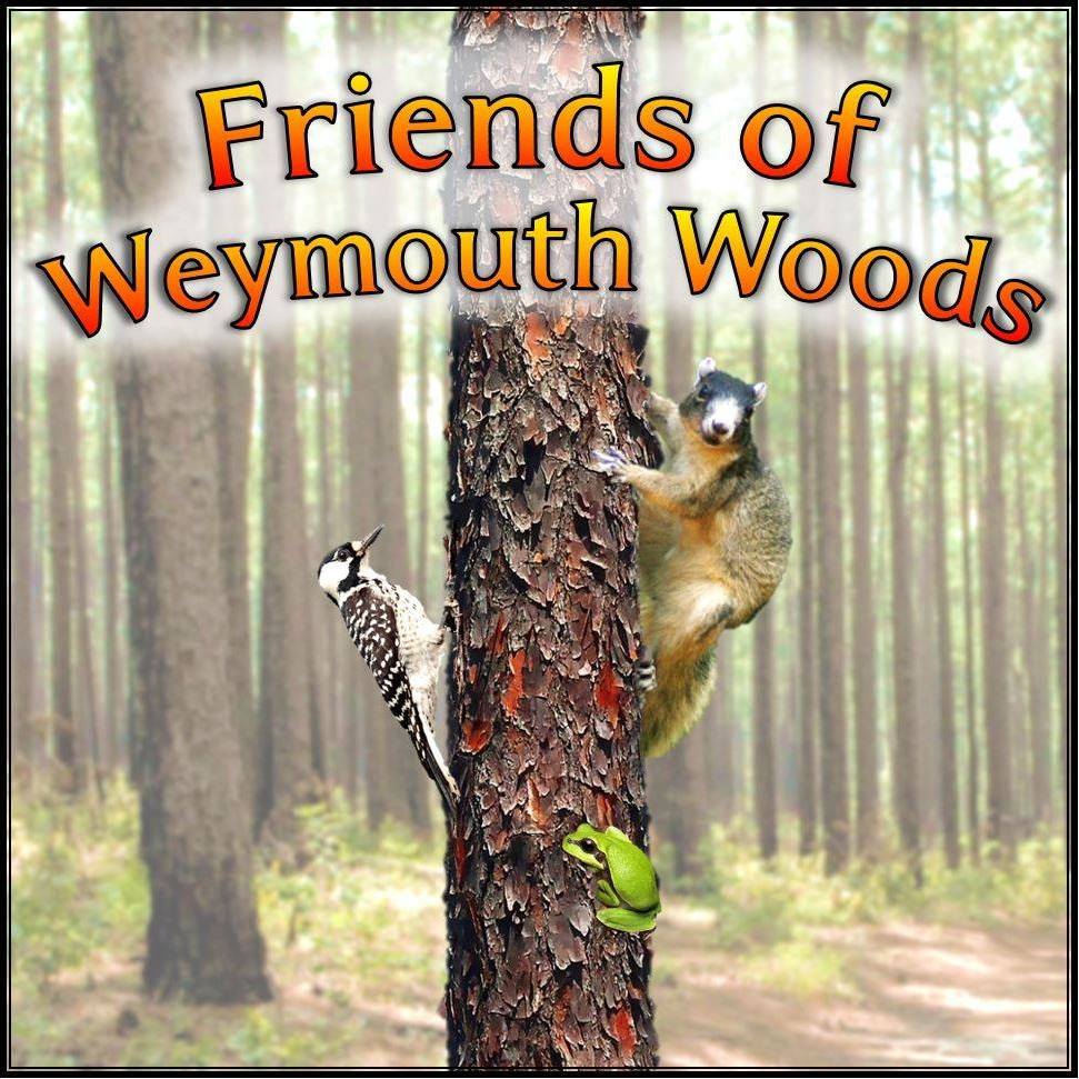 Weymouth Woods Sandhills Nature Preserve Museum Logo