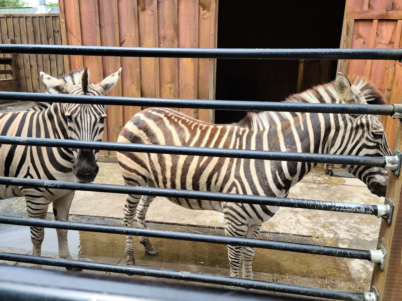 White Post Farms Travel | Zoo and Wildlife Sanctuary 