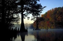 White River National Wildlife Refuge - Logo