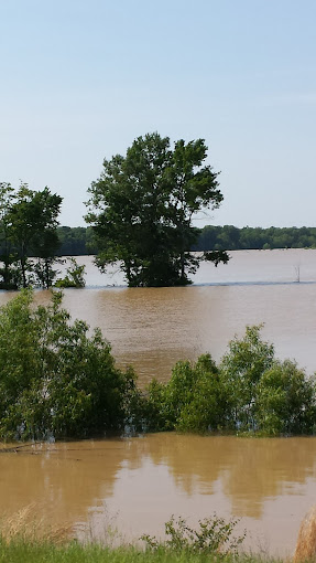 White River National Wildlife Refuge Travel | Museums