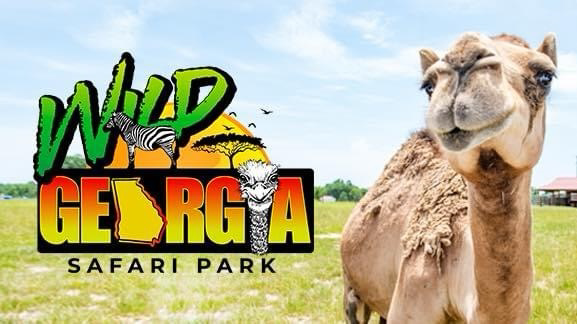 Wild Georgia Safari Park - Logo