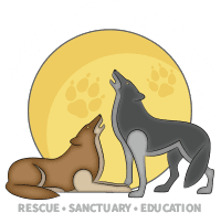 Wild Spirit Wolf Sanctuary - Logo
