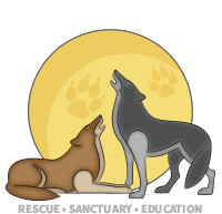 Wild Spirit Wolf Sanctuary Logo