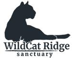 WildCat Ridge Sanctuary Logo