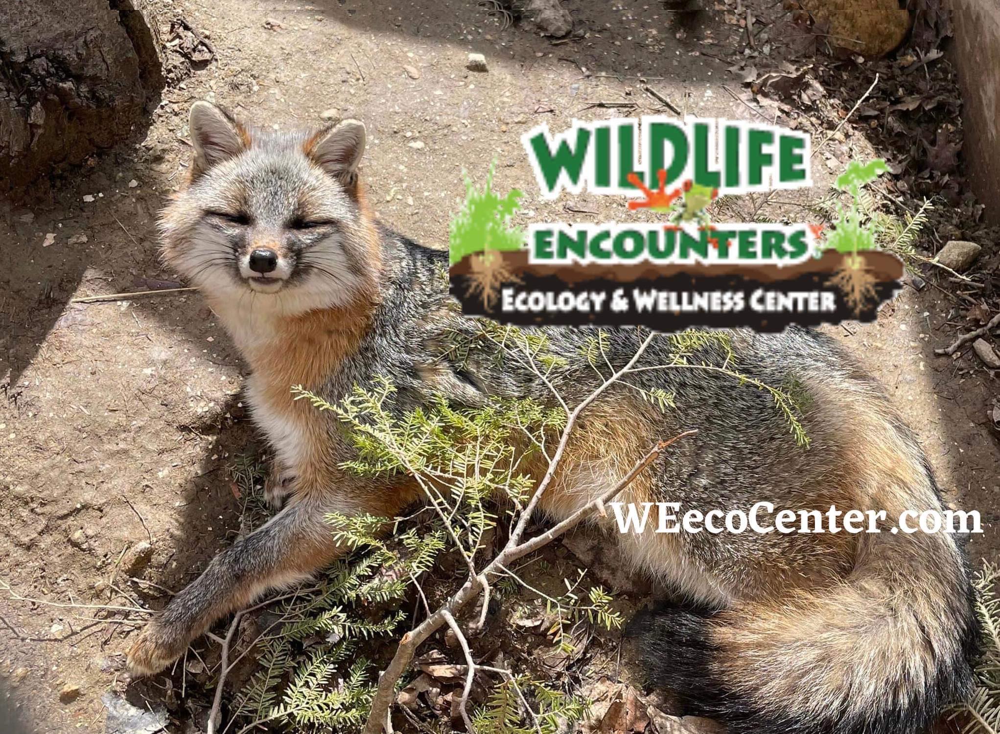 Wildlife Encounters Ecology & Wellness Center Logo