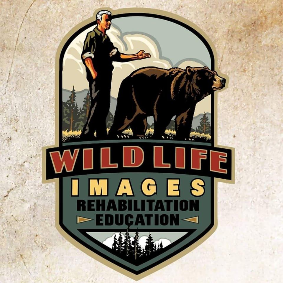 Wildlife Images - Logo