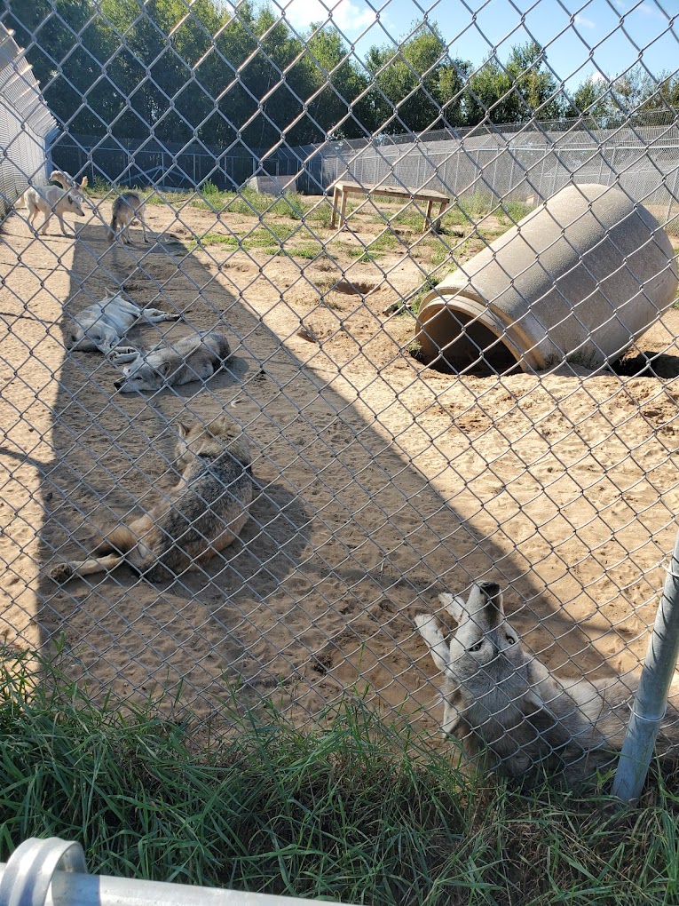 Wildlife Science Center Travel | Zoo and Wildlife Sanctuary 