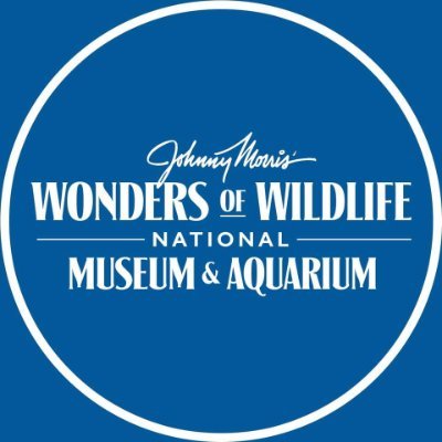 Wonders of Wildlife Museum & Aquarium|Zoo and Wildlife Sanctuary |Travel