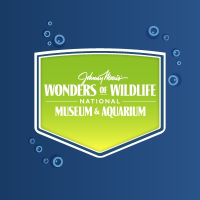 Wonders of Wildlife Museum & Aquarium|Museums|Travel