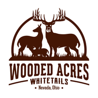 Wooded Acres Whitetails - Logo