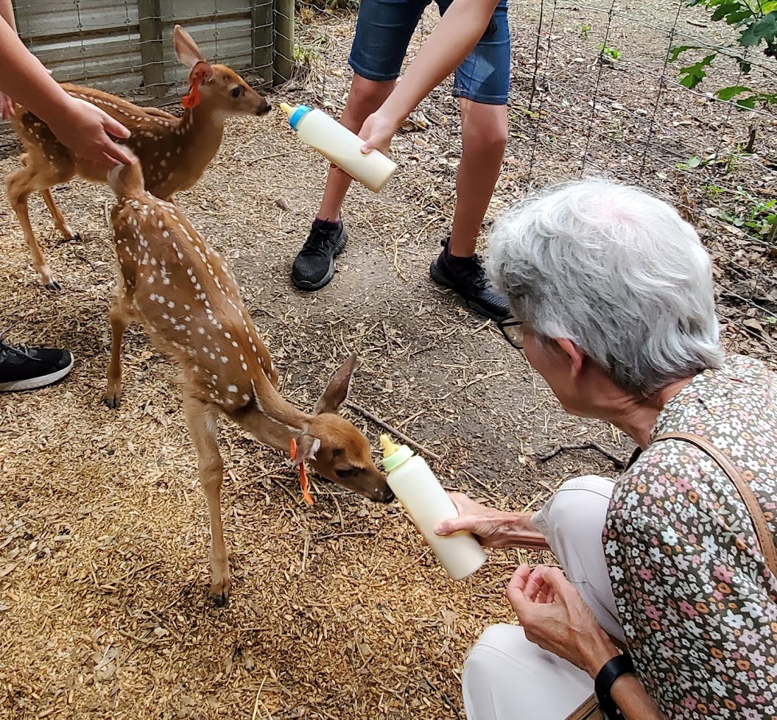 Wooded Acres Whitetails Travel | Zoo and Wildlife Sanctuary 