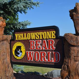Yellowstone Bear World - Logo