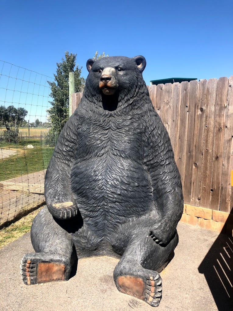 Yellowstone Bear World Travel | Zoo and Wildlife Sanctuary 
